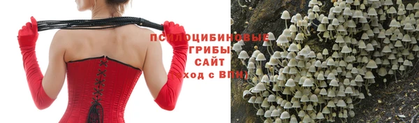 сатива Зеленодольск