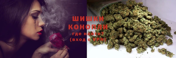 сатива Зеленодольск