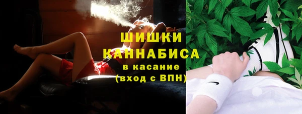 сатива Зеленодольск