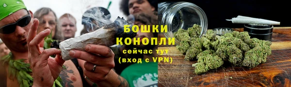 сатива Зеленодольск
