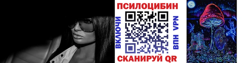 где можно купить наркотик  Зеленодольск  Псилоцибиновые грибы Psilocybe 